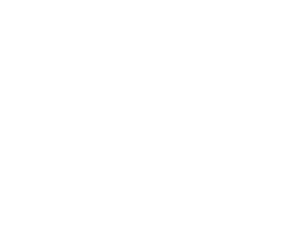 fassadenkletterer wiesbaden