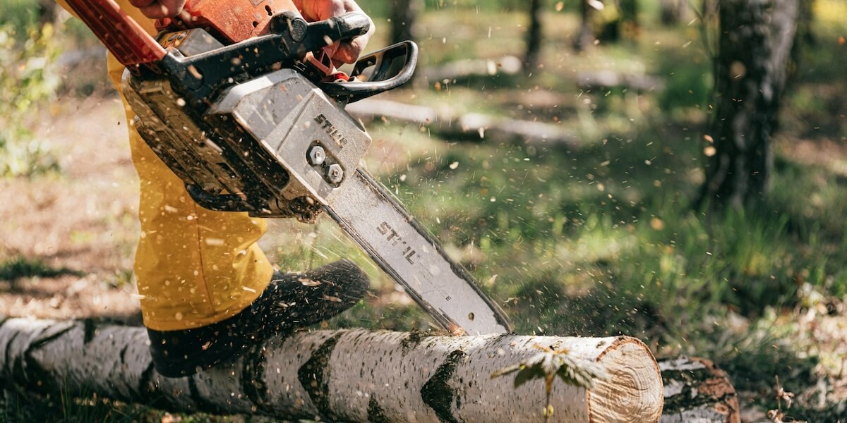 Baumfällung Wiesbaden